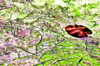 N 050D